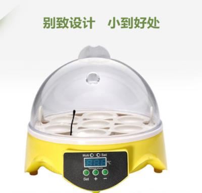 China Universal Mini Pigeon Home Incubator Semi-automatic Egg Incubator Bird Egg Incubator 7pcs for sale