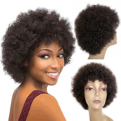 China Raw Indian Human Hair Cuticle Aligned Pixie Cut Afro Curly Wigs GS Supplies 250g-450g for sale