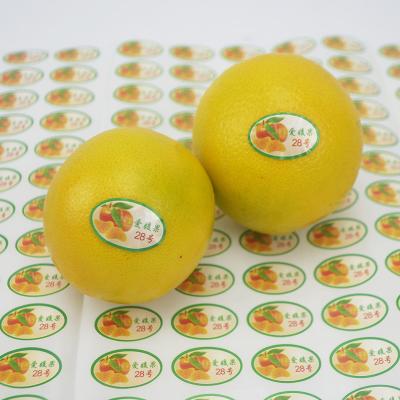 China Hot Sale Factory Waterproof Vinyl LOGO Printed Adhesive Paper Label Sticker For Supermarket Vegetable Fruit for sale