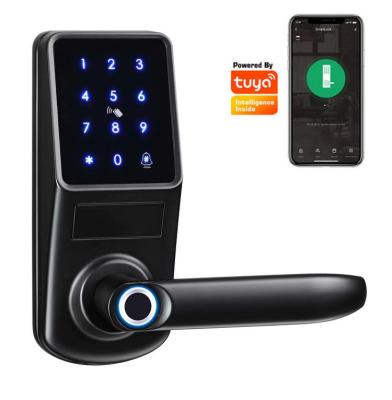 China Hotel Apartments Office RFID Door Lock WiFi Fingerprint ttlock Tuya Digital Smart Waterproof Electronic Biometric Lock for sale