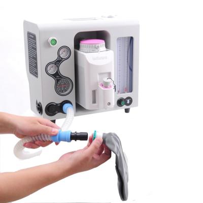 China Hospital Medical Clinic Vet Veterinary Equipment Veterinary Anesthesia Gas Anesthesia Machine For Sale VTS-V for sale