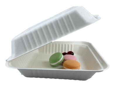 China 9x9x3 8x8x3 Disposable Biodegradable Sugarcane Bagasse Food Paper Box For Carry Lunch Clamshell Containers for sale