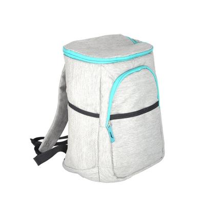 China Wholesale Custom Eco Friendly Waterproof Logo Insulated Polyester Lunch Cooler Backpack for sale