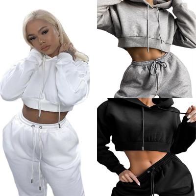 China Hooded Clothing Breathable Sportswear Sports Wear Sexy Workout Sets For Women Fitness for sale