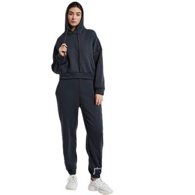 China Breathable Tracksuits Sport Fleece Tracksuit Hoodies With Jogers Set for sale