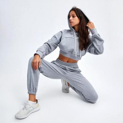 China Anti-wrinkle crop top women trotter cropped sweatshirt hoodies sets for sale