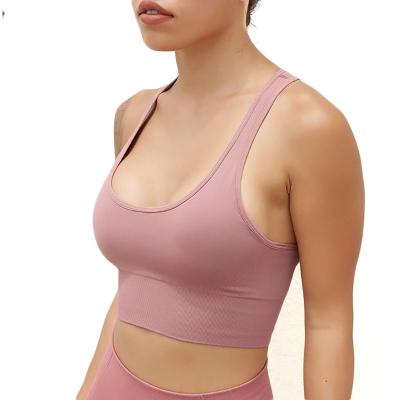 China Breathable Seamless Sexy Sports Bra Cross Back Buckles Stretch Women Sports Bras for sale