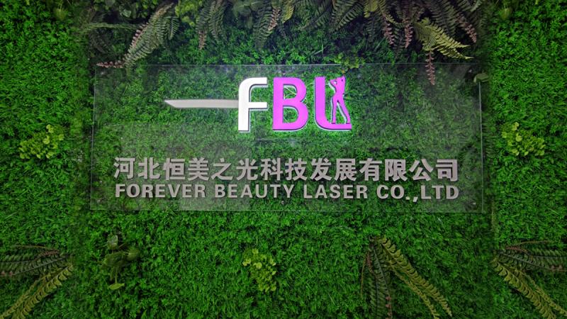 Verified China supplier - Hebei Forever Beauty Laser Technology Development Co., Ltd.