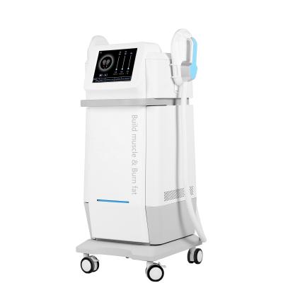 China Slim Weight Loss EMS Beauty Machine for sale