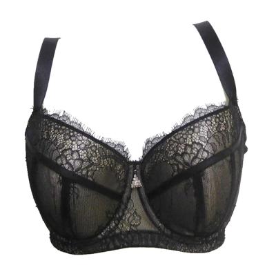 China Latest Fashion Young Ladies Sexy Plus Size Bra for sale