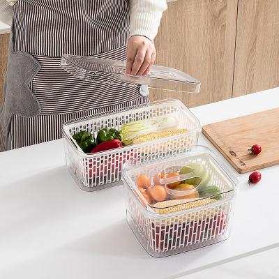 China Freshness Preservation Sheng Bang Kitchen Storage Transparent Refrigerator Fruit Organizer Drain Box With Vegetable Lid for sale