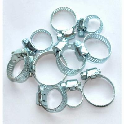 China 10pc Hose Clamp  for sale