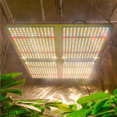 China Samsung Lm301b Dimmable Indoor Full Spectrum White YLShine Sunlike Waterproof Factory Led Growing Light for sale