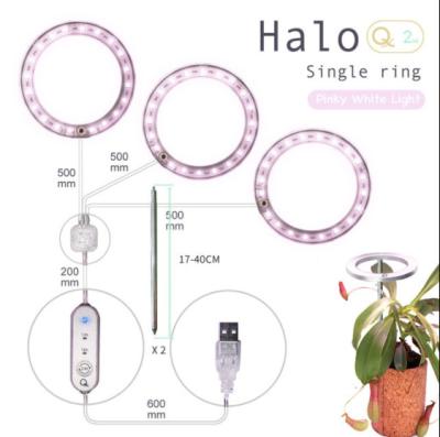 China YLShine G2 Indoor Single Ring with Timer Switch USB LED Plant Grow Lamp Small Size Light for Indoor Plants Factory Wholesale for sale