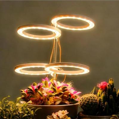 China Angel Ring Full Spectrum Grow Lamp Indoor USB Phytolamp for Plants 5V Lamp for Home Flower Succulet Indoor Plant Seedlings for sale