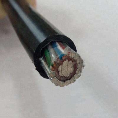 China A.W.G. 2x8 2x10 3x6 3x8 Entry XLPE Insulated Concentric Cable for sale