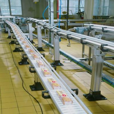 China Food and Beverage Converyoer Best Price Heat Resistant Conveyor Cans Bottles Flex Plastic Chain Conveyor Aluminum Transfer Conveyor for sale