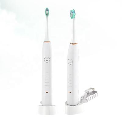 China Dupont Special Prices Electric Toothbrush Rotation Soft Nylon Waterproof Clean Teeth Adult Electric Toothbrush for sale