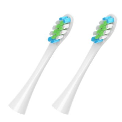 China CleanO Factory Wholesale Household Whitening Sonic Electric Toothbrush Replacement Head for sale