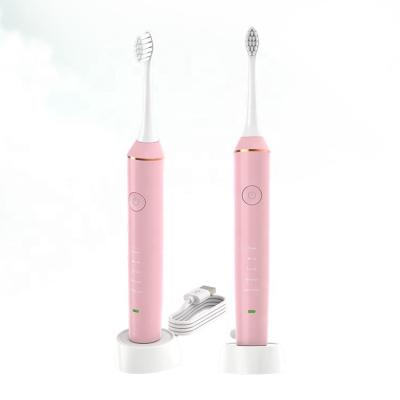 China Dupont OEM Private Label Sonic Toothbrush Manufacture Wholesale Price Sonic Electric Soft Nylon Toothbrush Refillable for sale