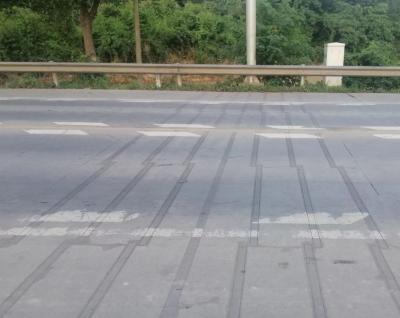 China A alta velocidade da estrada IP68 pesa na carga IP68 dos sistemas 60T do movimento à venda