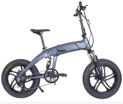 China Foldable Electric Bike for Outdoor 48V 500W LEE912 for sale