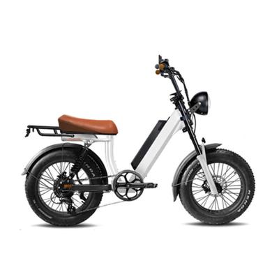 China Wholesale Tire Power China Manufacturer Aluminum Alloy Mountain Electric Bike eBike Snow Beach Moped E-Bike 20*4.0 750W 7 Speeds for sale