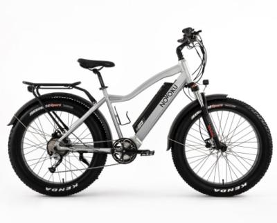 China Good Quality Aluminum Alloy 26 Inch 48V 750W Smart Adult Electric Mountain Bike for sale