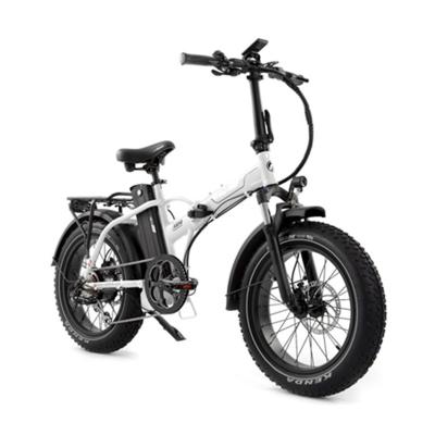 China Aluminum Alloy Electric Snow Bike Beach EBicycle Folding Ebike Fat Tire Electric Bike 20 Inch 48V 750W 19.2 Ah for sale