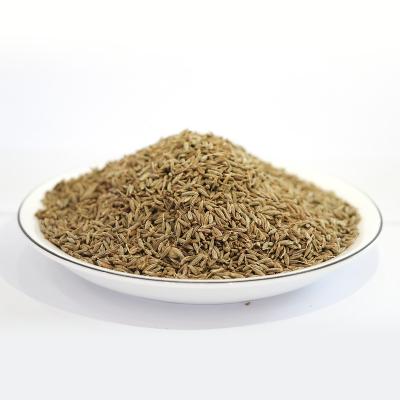 China China dry spice factory wholesale newcomer 2021 high quality black cumin seeds lamb and GRILL spice black cumin with low price for sale