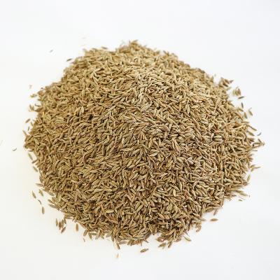 China China origin dry cumin seeds aroma produce roasts your taste buds for sale