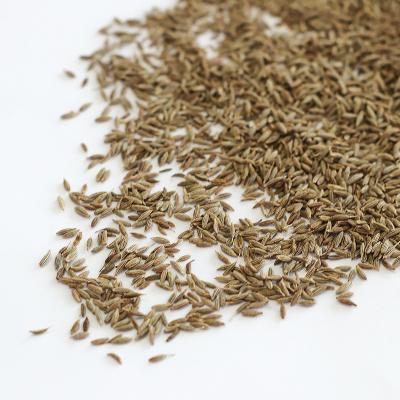 China China dry spice supplier wholesale good quality whole cooking cumin spice jeera seed cow meat comino spice with low price for sale