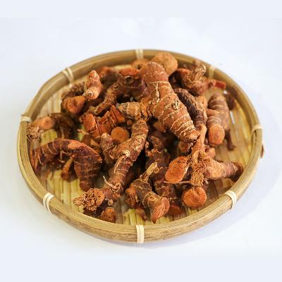 China 2022 dried the most popular products of the year and the best-selling fresh spices galangal root with low price. for sale