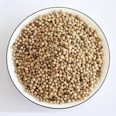 China Spices&herbs China leading single dry plain peppercorn wholesales good quality cooking seasoning white peppercorn Spicy for sale