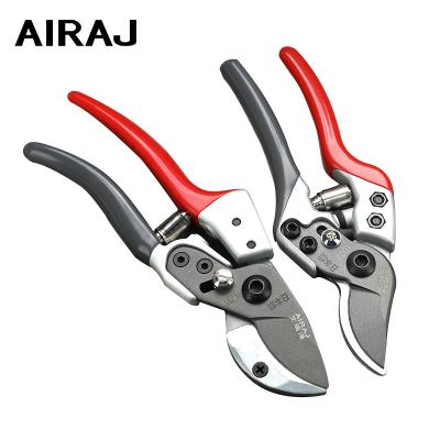 China High Quality Embroidery Shears Household Farm Garden Tree Shears Orchard Scissors for sale