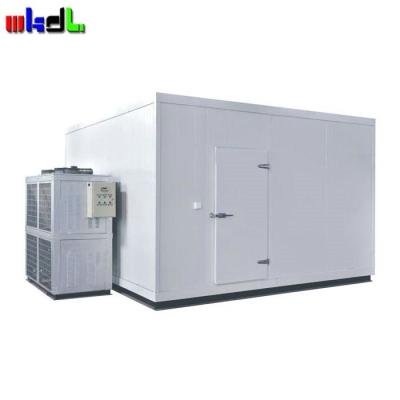 China Building Material Stores New China Supermarket Cold Room Model Refrigeration Equipment With Accessories for sale