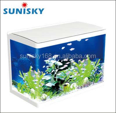 China Large round corner fish tank viable glass aquarium for sale