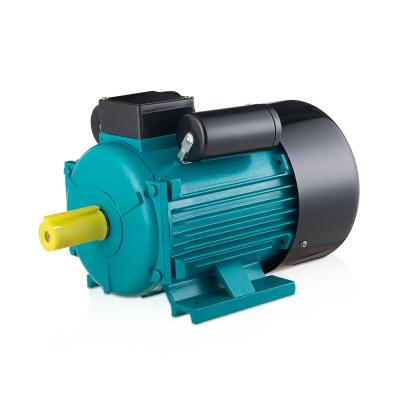 China AC 220V 50Hz 2800rpm Single Phase Waterproof Powerful Electric Motors for sale