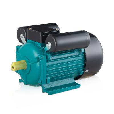 China AC 200V 1Hp YCI Single Phase Waterproof High Speed ​​Asynchronous Electric Motor for sale