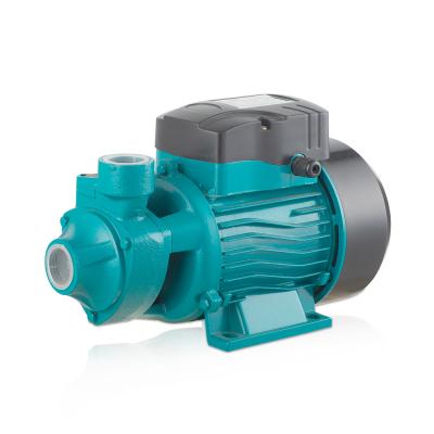 China Commercial Buildings High Efficiency Electric Booster STRATEGY 1/2Hp 40L/Min Peripheral Water Pump for sale