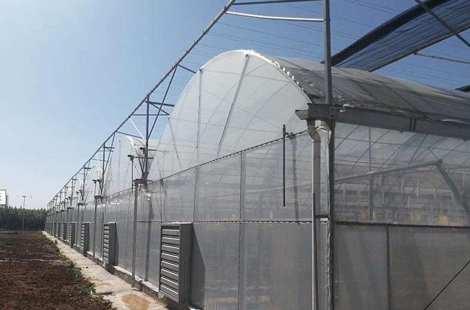 Verified China supplier - Qingzhou Shengqiang Greenhouse Technology Engineering Co., Ltd.