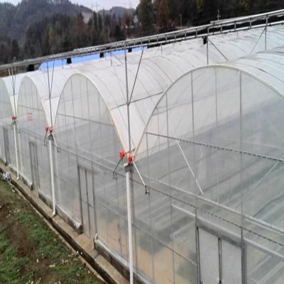 China Steel Skeleton Plastic Mini Dome PO Lettuce Film Steel Lettuce Low Cost Plant Greenhouse Greenhouse Water Growing Irrigation Systems for sale