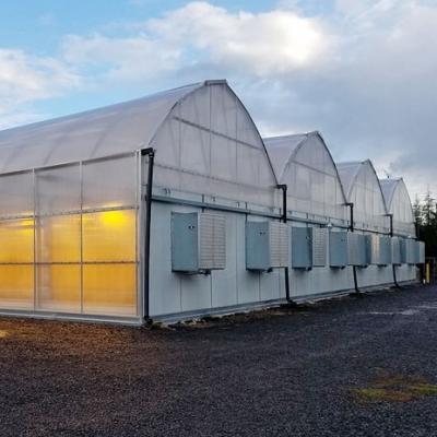 China Galvanized Steel Skeleton Blackout Light Deprivation Plastic Sheet Greenhouse With Heating Equipments for sale