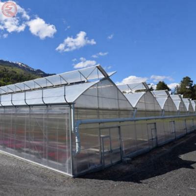 China Stable Structure Chinese Plant Growing Trays Rolling Bench Seedling Glass Greenhouse For Vegetables And Flowers for sale