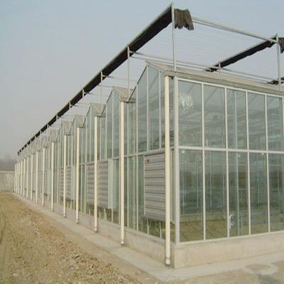 China Galvanized Steel Skeleton Polycarbonate Sheet Greenhouse Vertical Agricultural Greenhouse With External Shading System Can Be Customized for sale