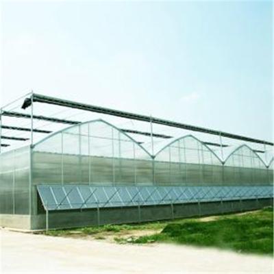 China Factory Hot Sale Galvanized Steel Skeleton Polycarbonate Sheet Vertical Agricultural Greenhouse for sale