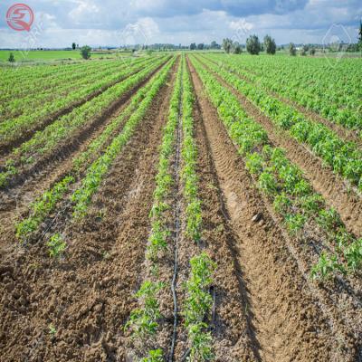 China China Agriculture Drip Irrigation Pipe System Irrigation System Agriculture Drip Irrigation For Fast Delivery for sale