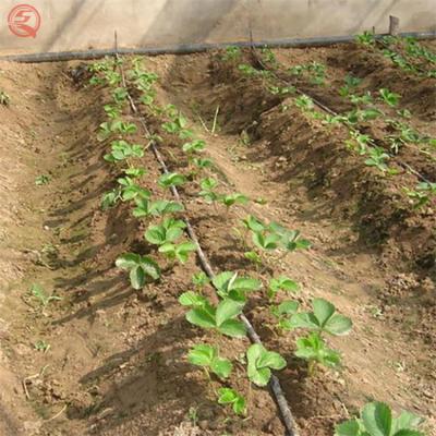 China Agriculture Drip Irrigation Pipe System Rain Hose Greenhouse Agricultural Used Irrigation Systems for sale