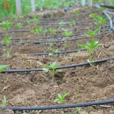 China Professional Agriculture Drip Irrigation Hose System Manufacturer Multi Span Greenhouse Drip Irrigation System Others Watering & Irrigation 12mm 16mm 20mm 0.5mm-2mm 1-6L for sale