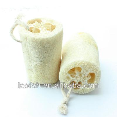 China Natural raw loofah /loofa/loofah from LUFFA for sale